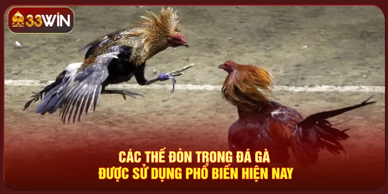 Các Thế Đòn Trong Đá Gà
