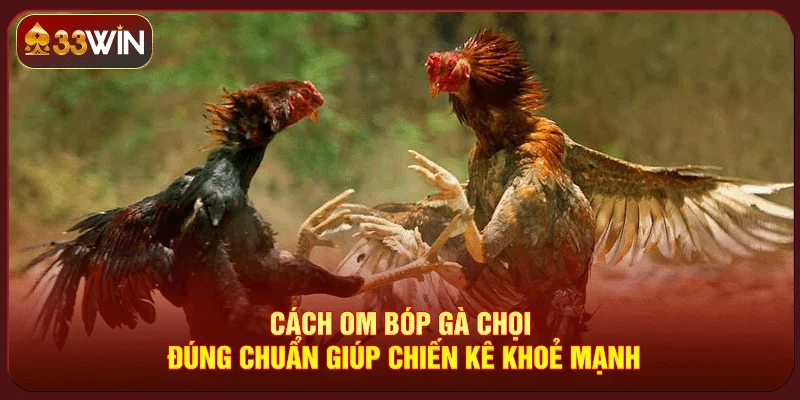 Cách Om Bóp Gà Chọi