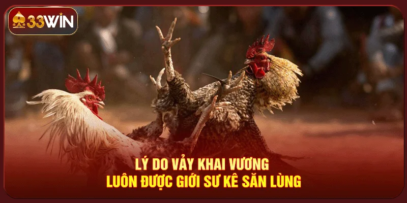 Vảy Gà Khai Vương