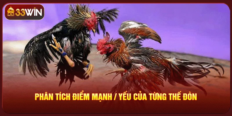 Các Thế Đòn Trong Đá Gà