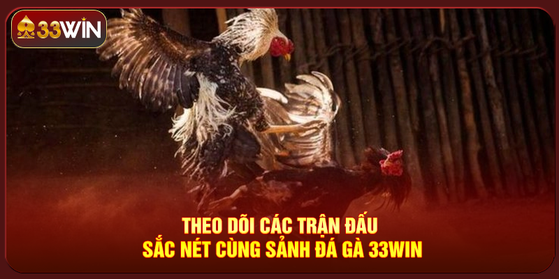 Đá Gà 33Win