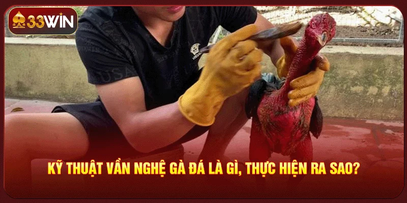 Kỹ Thuật Vần Nghệ Gà Đá
